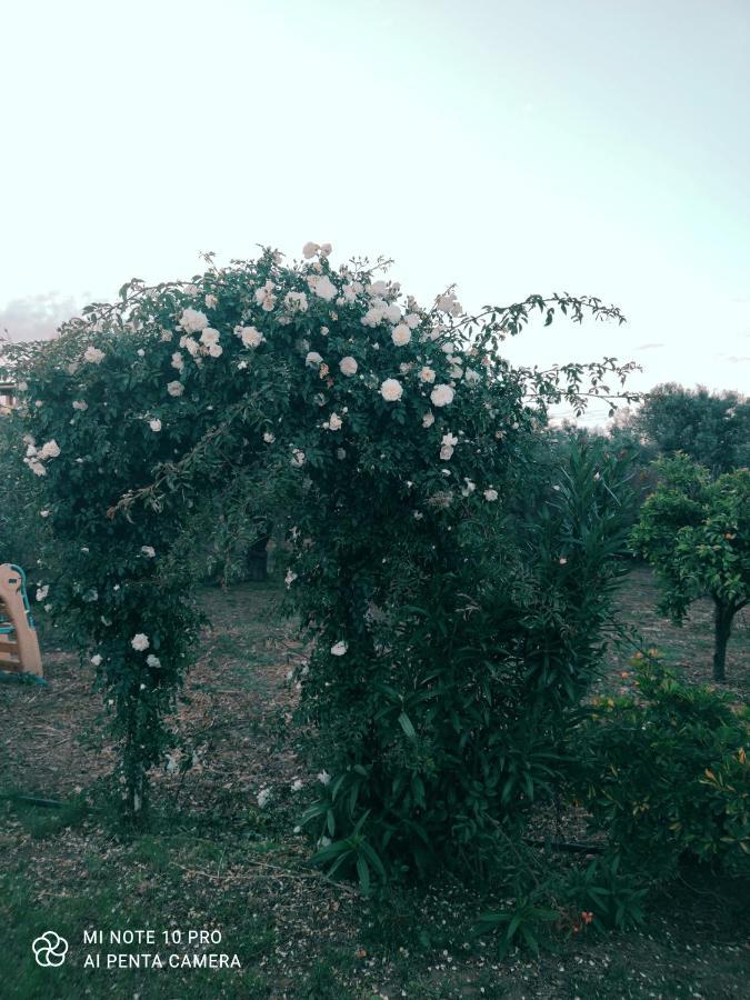 Casa vacanze La Casa Delle Rose 2 *